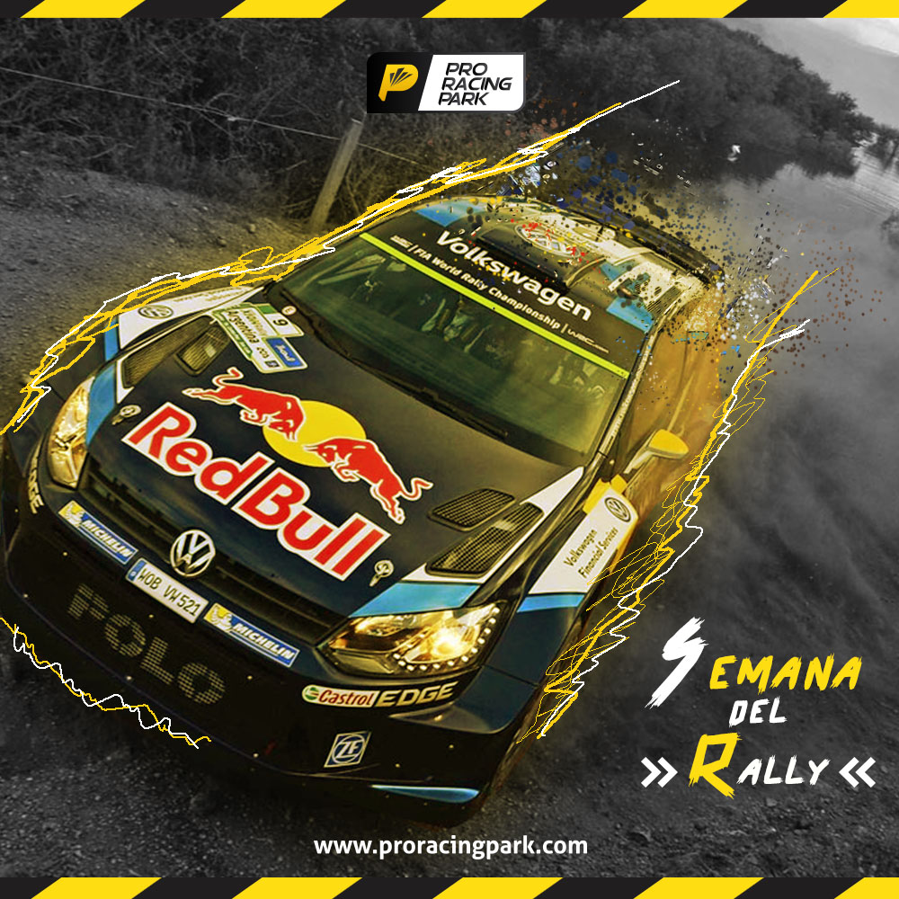 Flyer for Pro Racing Park #2